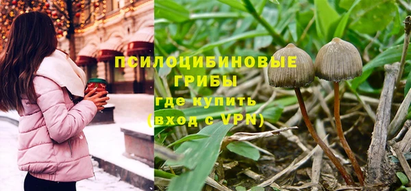 шишки Зерноград