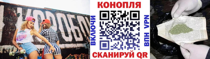 Купить закладки  Белая Холуница  Шишки марихуана планчик 
